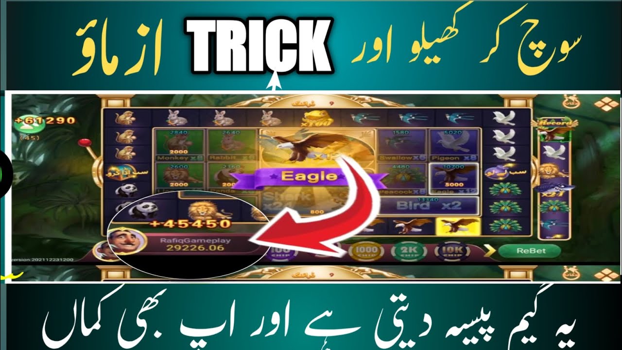 3 Patti sky zoo roulette tricks / zoo roulette tricks 2026